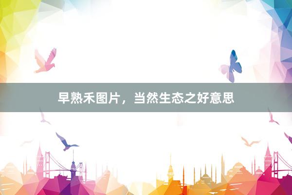 早熟禾图片，当然生态之好意思