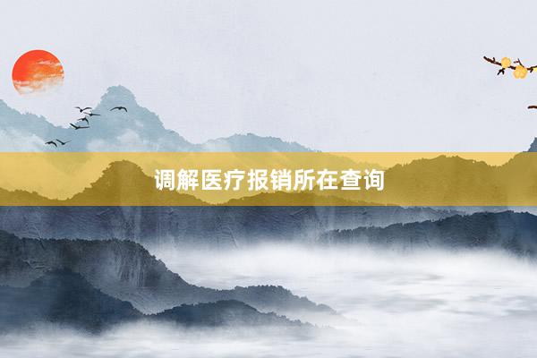 调解医疗报销所在查询