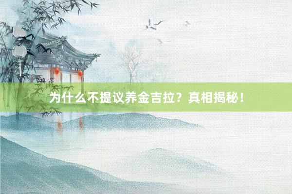 为什么不提议养金吉拉？真相揭秘！